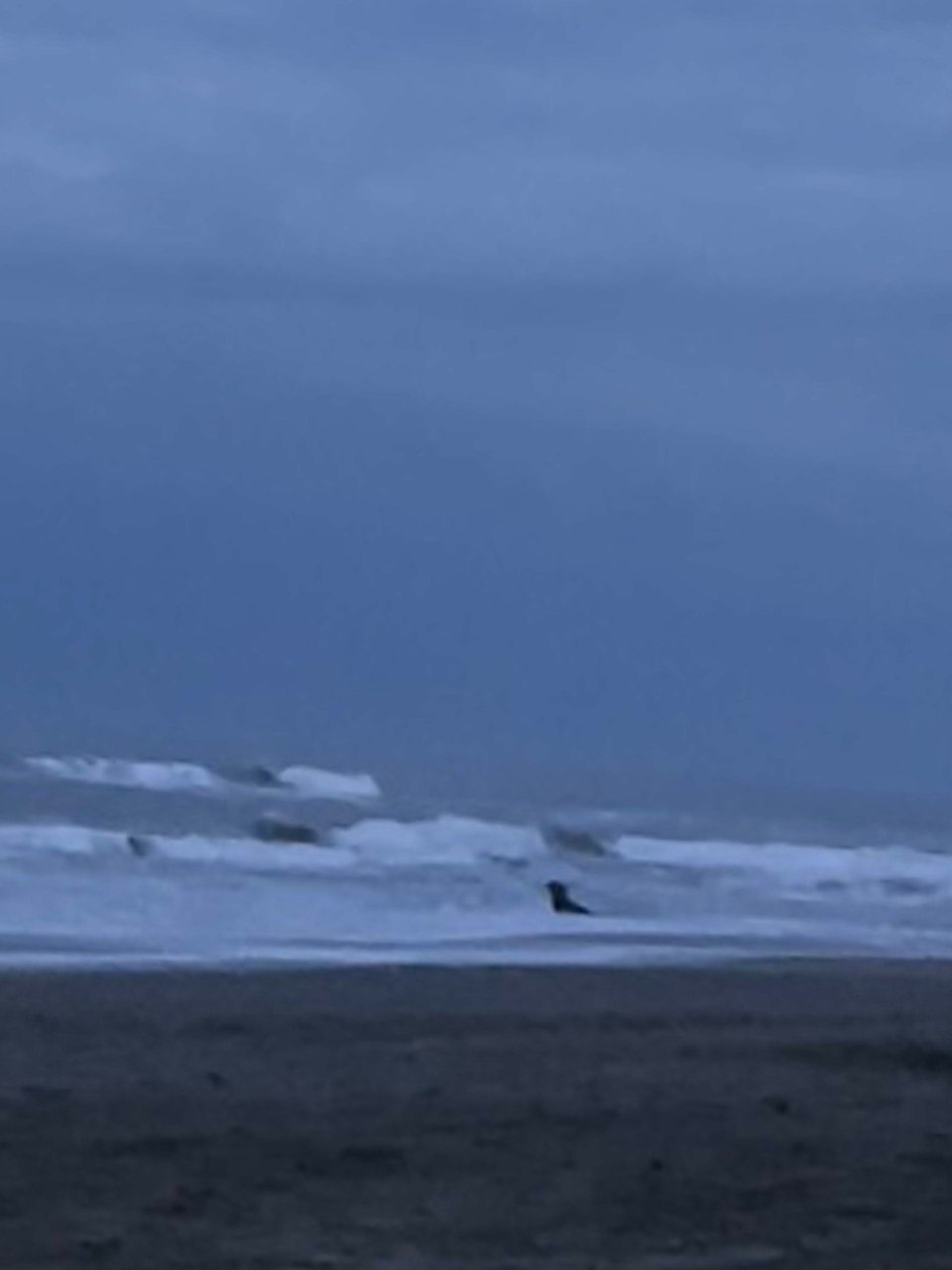 Olas azules perfectas para surf en la playa de Cariló