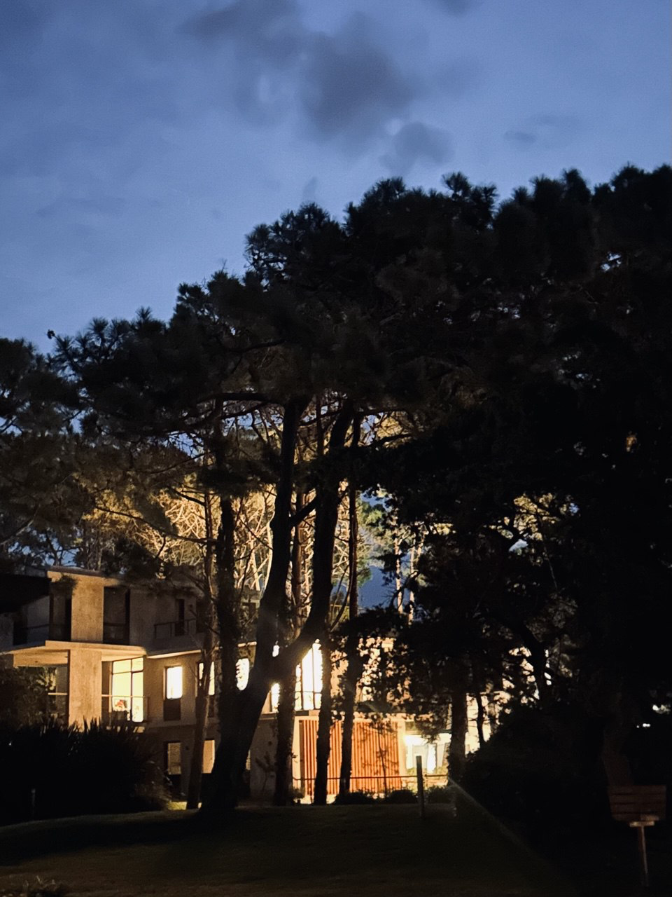 Casa moderna iluminada por la noche en el bosque de Cariló