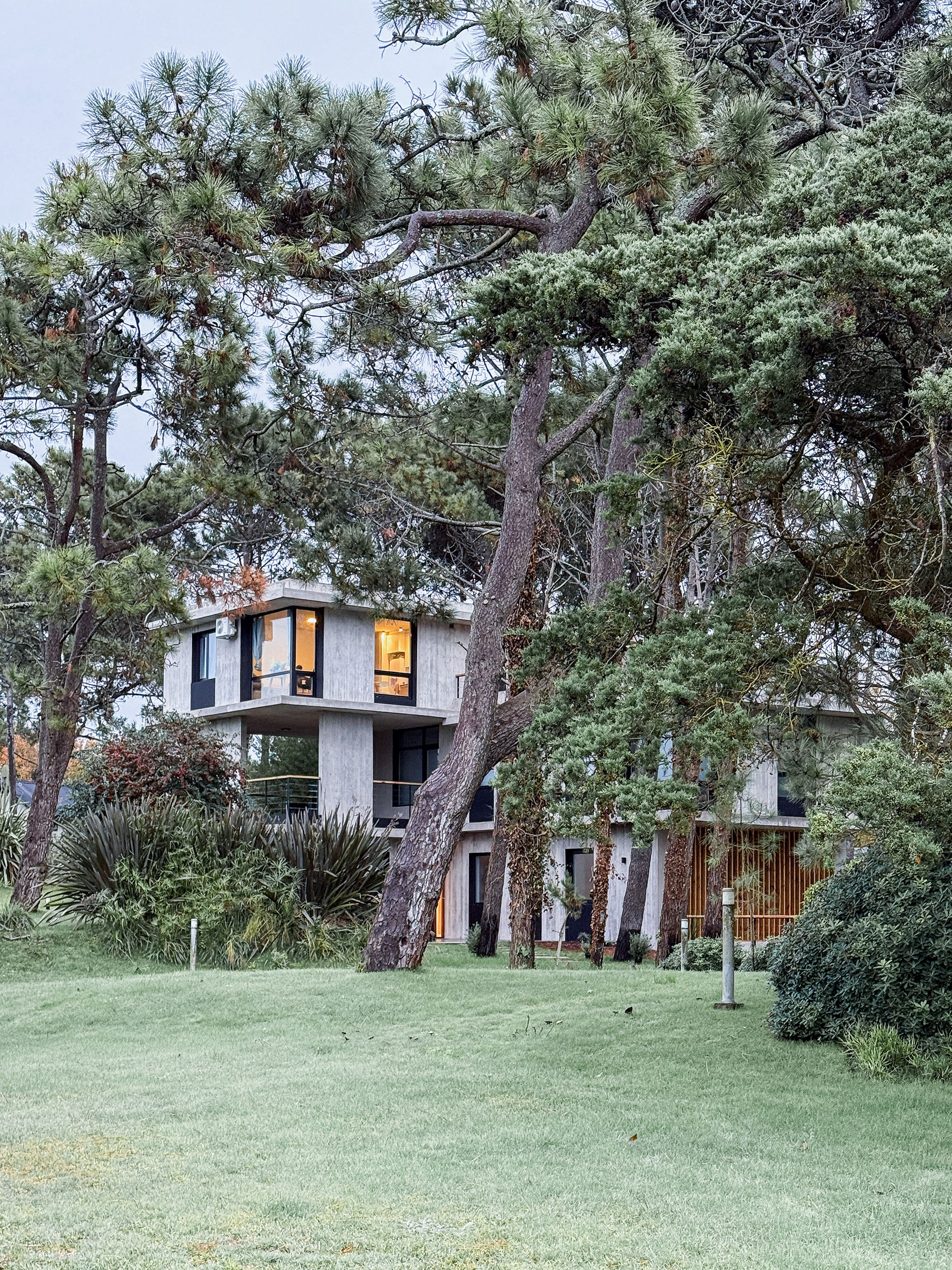 Praia de Cariló com floresta de pinheiros - destino único na Argentina