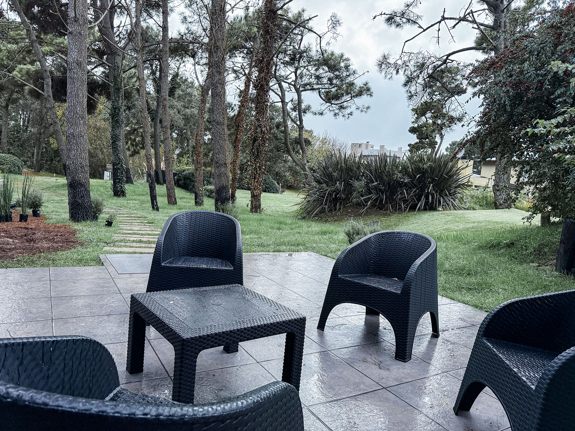 Carilo beach and forest for digital nomads
