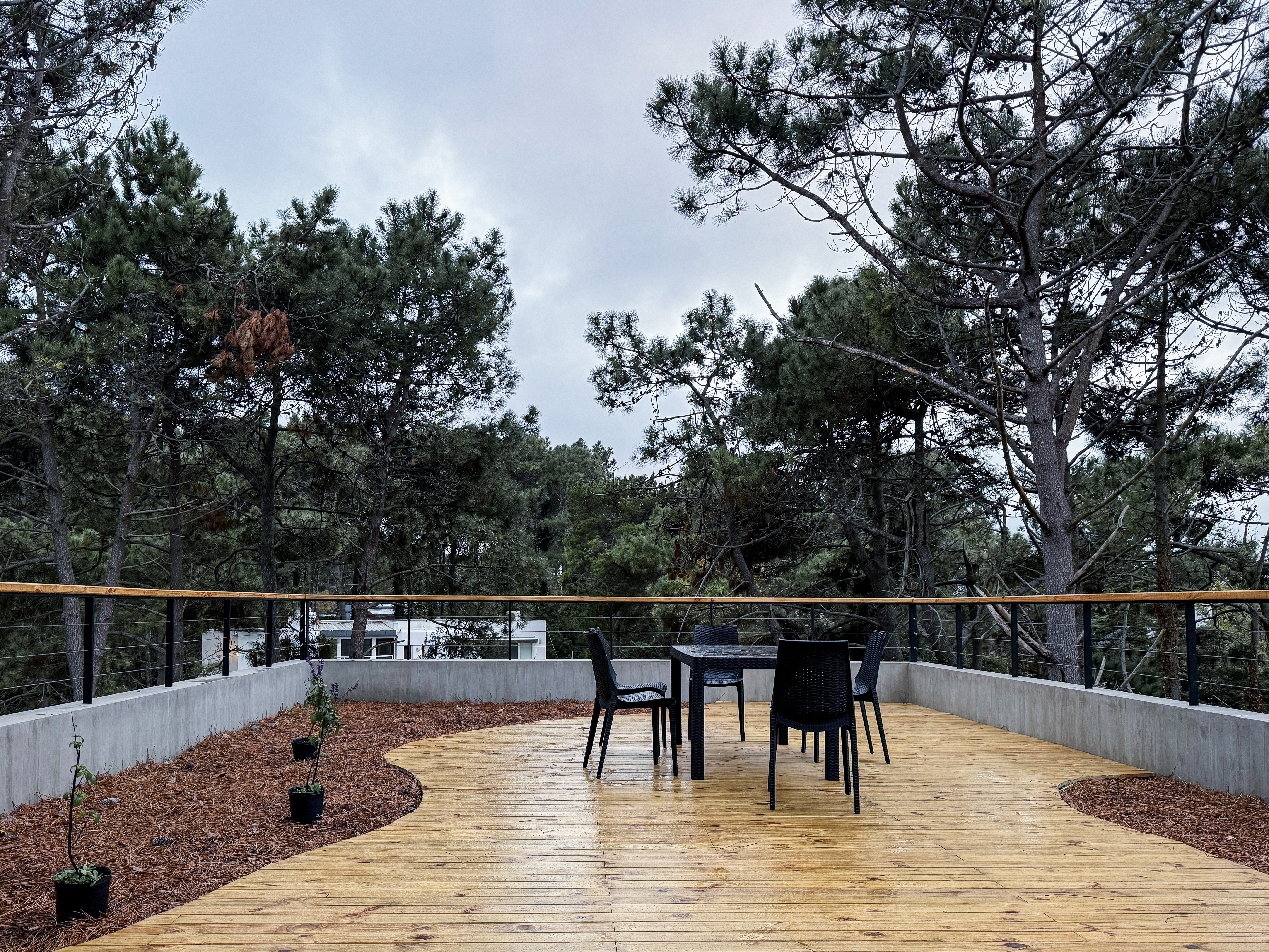 Penthouse Suite - Sundeck with Forest View