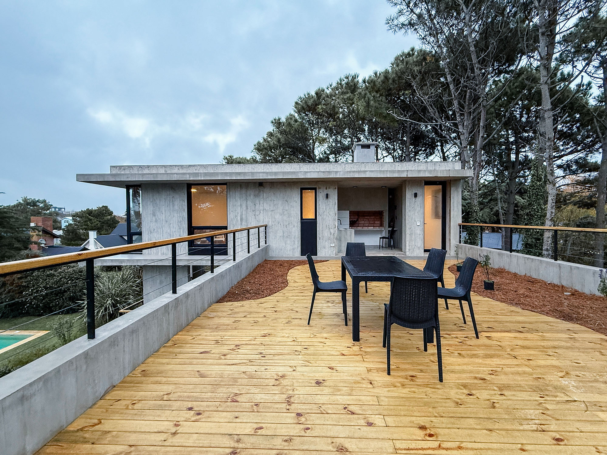 Pine forest surrounding coliving space