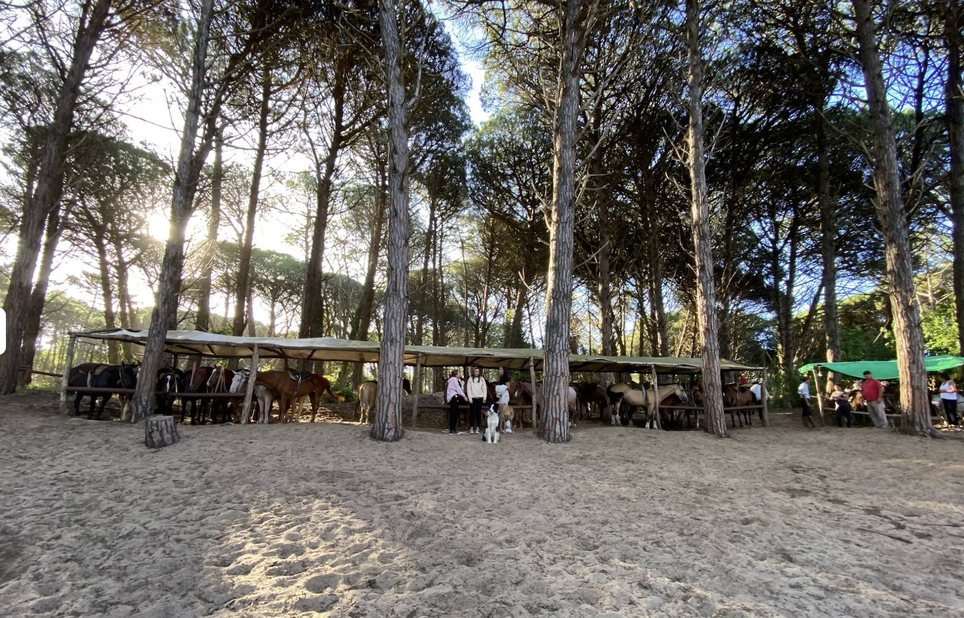 Dalmiro Paseo a Caballo Cariló