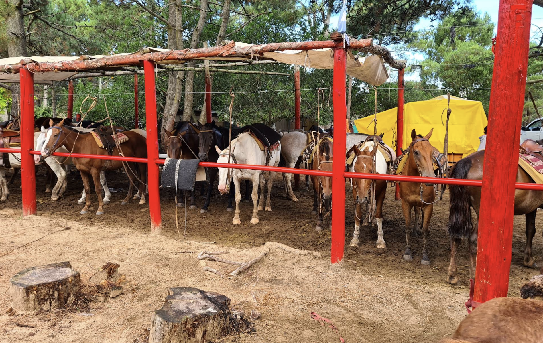 Cabalgatas El Relincho paseos a caballo Cariló